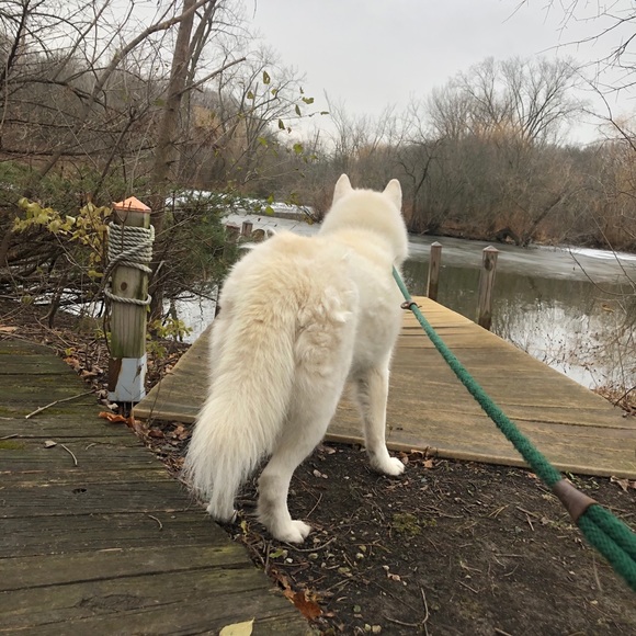 Meet your Posher, Karen - Picture 10 of 16